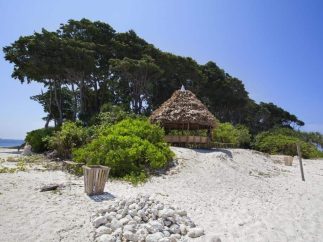 laxman pur beach {{brizy_dc_image_alt imageSrc=